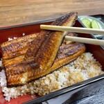 Unagi Saitaniya - 