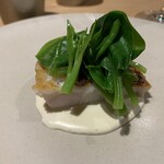 bb9 - 上対馬の甘鯛　 甘鯛の出汁のゼラチン質のピルピルソース