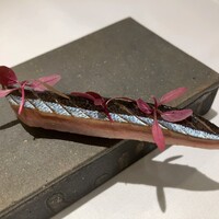 アニエルドール - 
