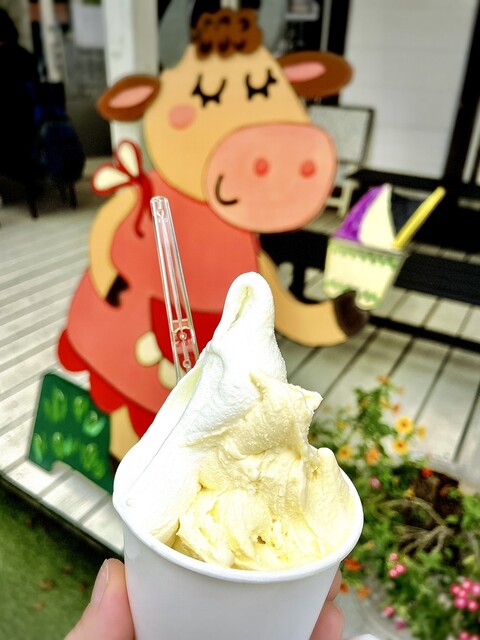 星のアイスやさん 北軽井沢ジェラート 星野ファーム - 長野原町その他/ジェラート