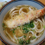 Momotarou Kan - えび天うどん550円 ぷりっぷりのえび天♪