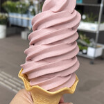 ソフト＆ドリーム - 