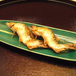 京懐石 吉泉 - 勿論、頭からガブリ…