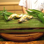 京懐石 吉泉 - 琵琶湖の稚鮎。