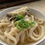 手打うどん たむら - 
