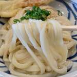 おうどん 瀬戸晴れ - 