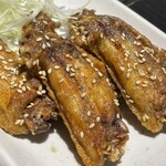 Fuurai Bou Nishi Kishi Chiken Chou Dooriten - 