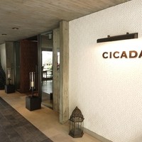 CICADA - 