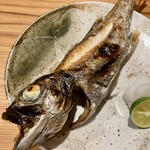 しんのすけ - 黒むつ