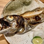 しんのすけ - 黒むつ