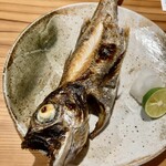 しんのすけ - 黒むつ