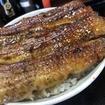 うなぎ 丸富 - うな丼　ふつう盛り