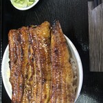 うなぎ 丸富 - うな丼　ふつう盛り