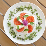 RESORT RESTAURANT SHISA'S CAFE&BBQ - 