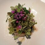 オトワ レストラン - 