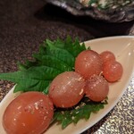 創作居酒家 NoBuSHo - 