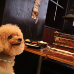 魅惑の七輪 らんまん - ペット入店可