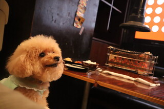 魅惑の七輪 らんまん - ペット入店可