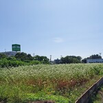 長橋石臼碾き手打そば - 