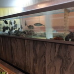 笠やま - いけす