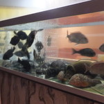 笠やま - いけす