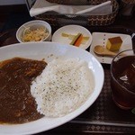 ハバナカレー - Havanaカレー，具材は鶏，辛さは中辛（20段階中2）にしました（750円）。