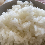 恋する豚研究所 - 