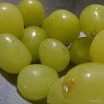 畑の彩り館 きろろ - 