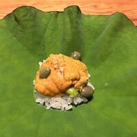 蓮 三四七 - 
