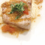 WITH THE STYLE cotton. - 