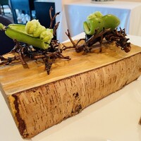 レストラン・モリエール - 