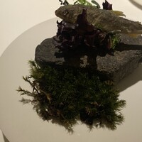 レストランエール - 