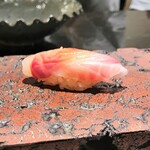 島津 - 天草 シブダイ