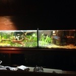 リフレックス - 