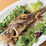 Torippaio - 漁港直送の新鮮な魚を豚の背脂で豪快に焼き上げます♪