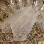 馳走 啐啄一十  - ⑨皮剥(広島県江田島産、2日寝かせ)