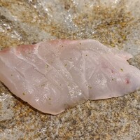 馳走 啐啄一十  - ⑥白甘鯛(静岡県駿河湾産、サスエ前田魚店、5日寝かせ)
