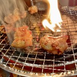 炭火焼肉ホルモン 七輪坂井 - 