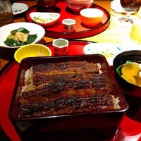炭焼 うな富士 有楽町店 - 