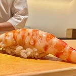 鮨 はしもと - 2023.9.  車海老