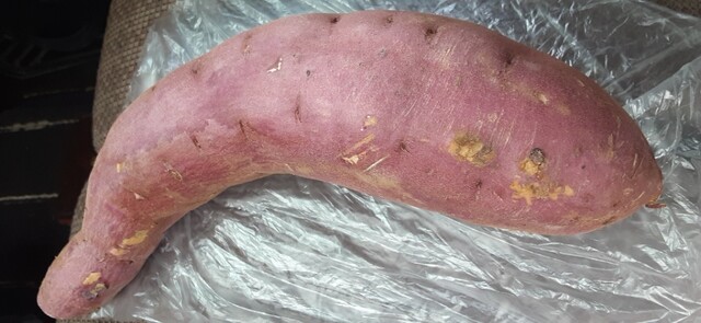 イオンスーパーセンター 一関店 - 一ノ関（その他）の写真