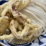 手打うどん はりや - イカ天ざるうどん　900円