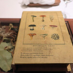 ラチュレ - この蓋を開くと