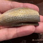 天ぷら たけうち - 