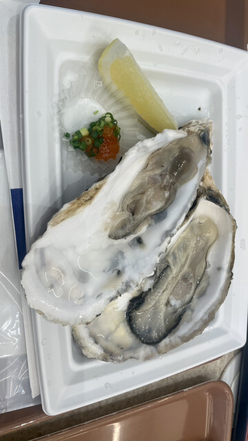 函館まるかつ水産　いかいか亭 - 十字街（海鮮）の写真