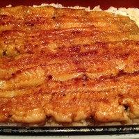 五代目 野田岩 麻布飯倉本店 - 鰻重（萩）