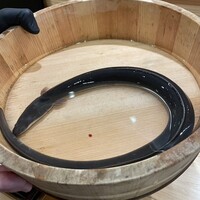 うなぎと炭焼 久松 - 浜名湖産の青鰻