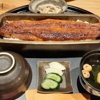 うなぎ四代目菊川 ミッドランドスクエア 名古屋本店 - 