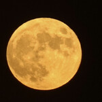 JiProign - 先月09/29夕方。地平を出て20分後にジプロインの東にあるアパートの屋根から出て来たクッキー色の名月です。