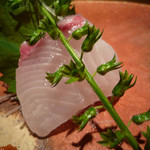 みこころや - お造り＠ズームアップ